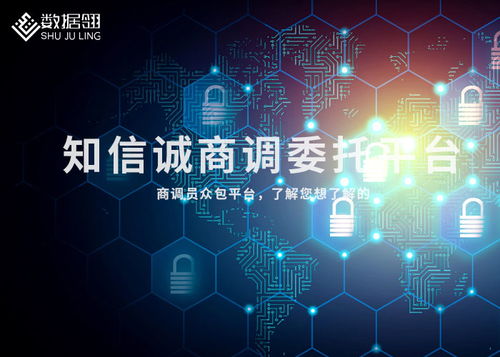 平?jīng)龃竺资袌稣{(diào)查全攻略 從目標(biāo)到渠道的實(shí)踐指南