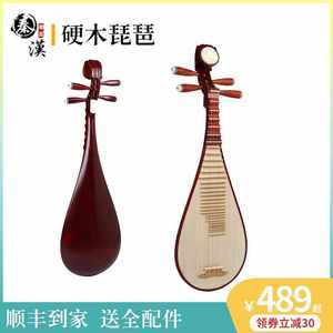 762組琵琶民族樂器圖片賞析 傳統(tǒng)與創(chuàng)新的完美交融